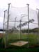 Catherine_Rabasse_017